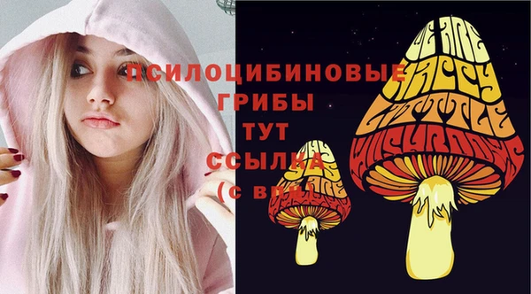 соль курить ск Алзамай