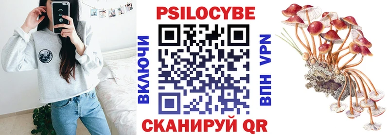 Галлюциногенные грибы Psilocybine cubensis Бикин
